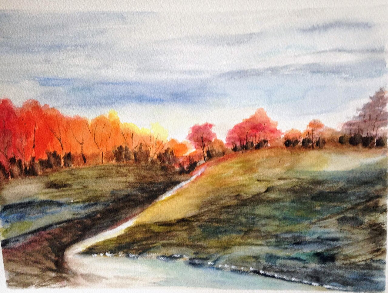 Autumn landscape with sky and trees and grass -- 23 of 33 von Maritess Sulcer