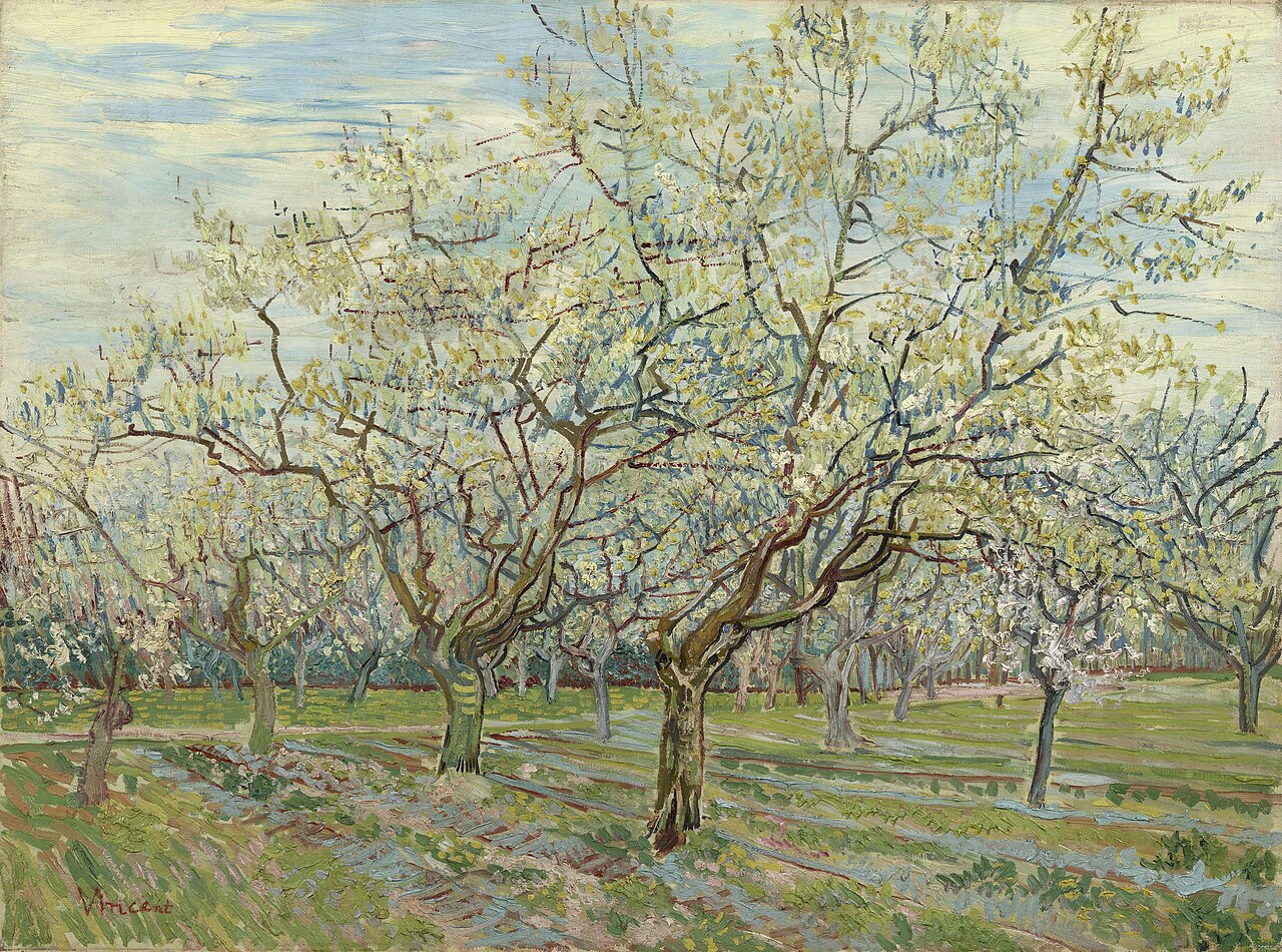 The White Orchard von Vincent van Gogh