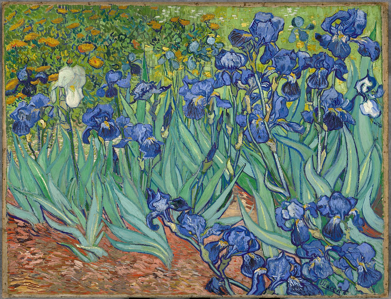 Irises von Vincent van Gogh