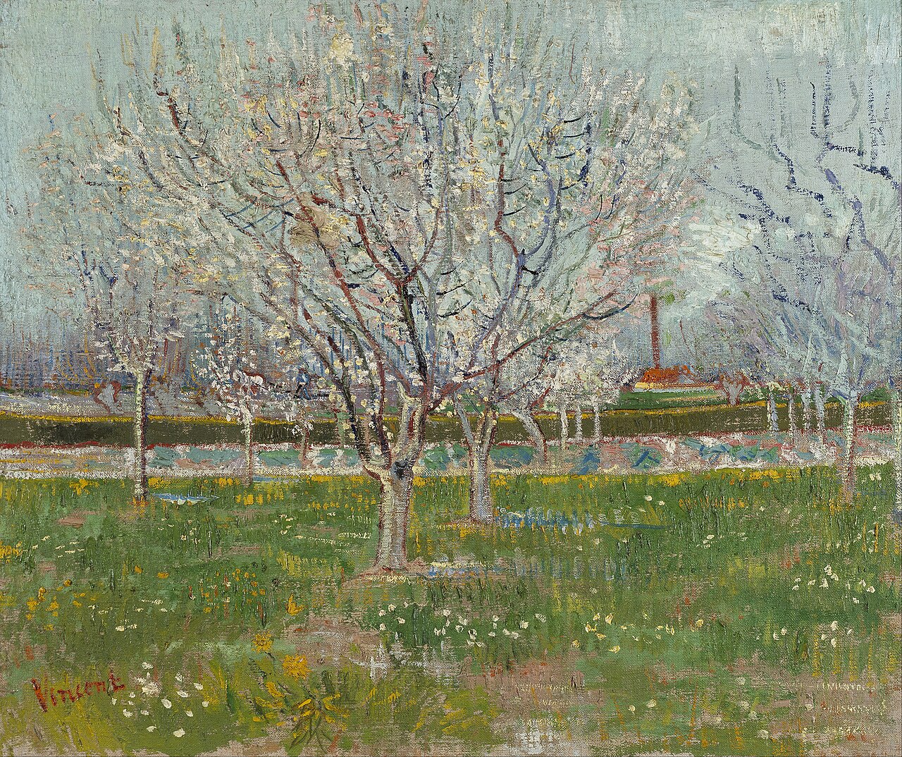 Orchard in Blossom (Plum Trees) von Vincent van Gogh